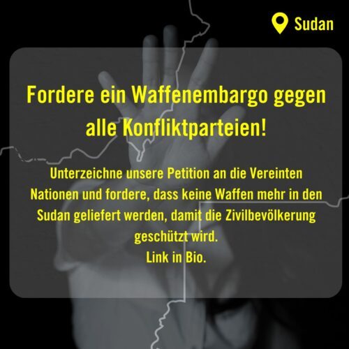 Sudan: Fordere ein Waffenembargo gegen alle Konfliktparteien! Unterzeichne unsere Petition an die Vereinten Nationen und fordere, dass keine Waffen mehr in den Sudan geliefert werden, damit die Zivilbevölkerung geschützt wird.