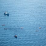 Moonbird Aufnahme einer Rettungsmission der Iuventa 17.04.2017 © Moonbird_Sea-Watch e.V. Aufnahme einer Rettungsmission der Iuventa